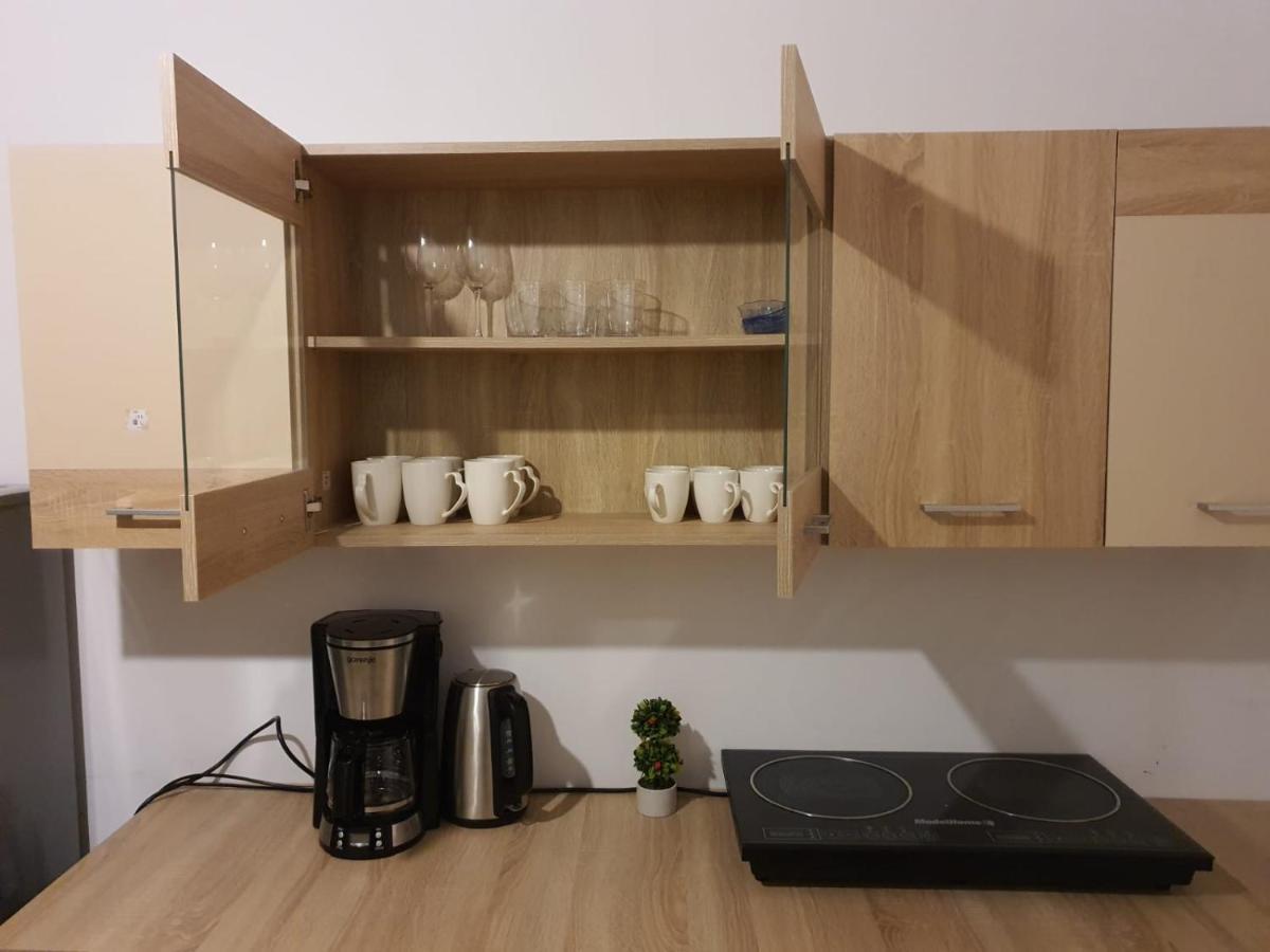 Apartament Enescu Timişoara Eksteriør billede